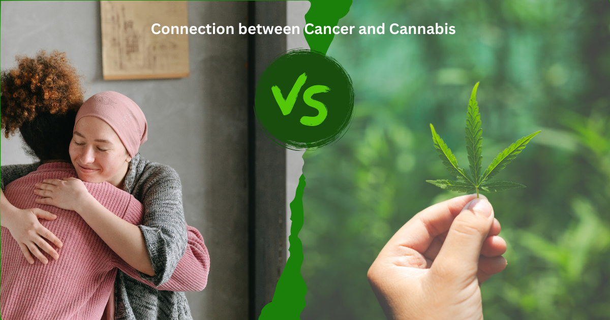 Connection between Cancer and Cannabis