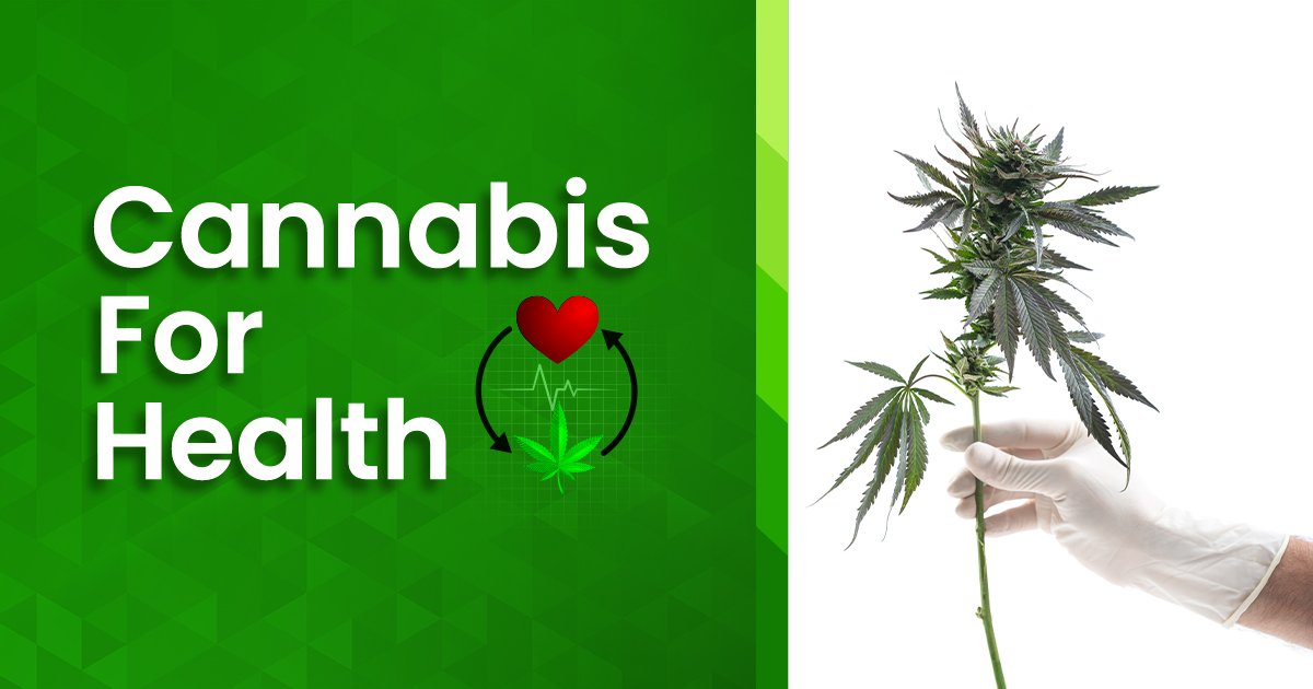Medical cannabis Brisbane