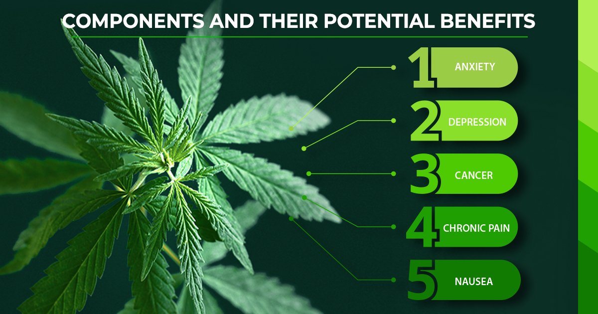 Health Benefits of Medical Cannabis