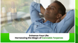 Enhance Your Life: Harnessing the Magic of Cannabis Terpenes