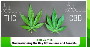 CBD vs. THC Understanding the Key Differences and Benefits