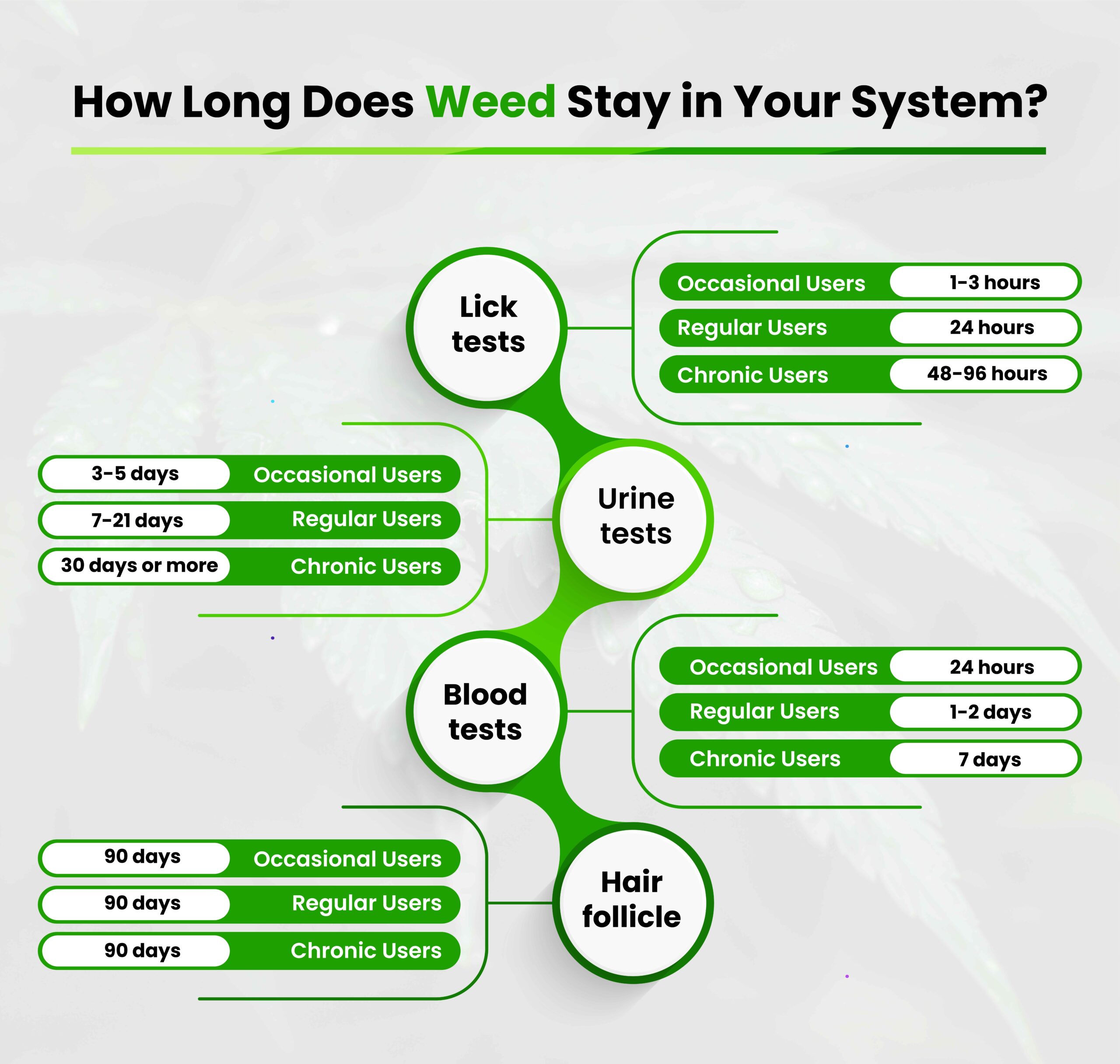 How Long Does Weed Stay in Your System