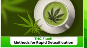 THC Flush - Methods for Rapid Detoxification