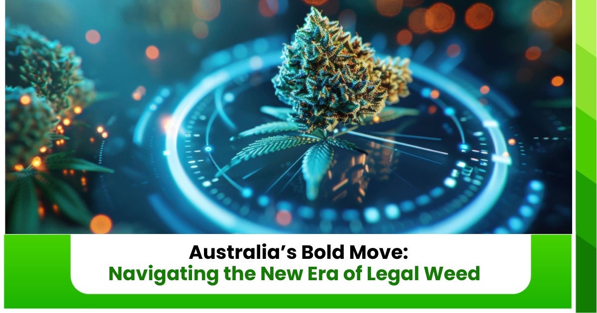 Australia’s Bold Move Navigating the New Era of Legal Weed