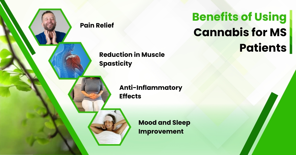 Benefits of Using Cannabis for MS Patients