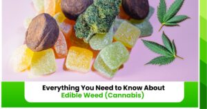 Everything You Need to Know About Edible Weed (Cannabis)