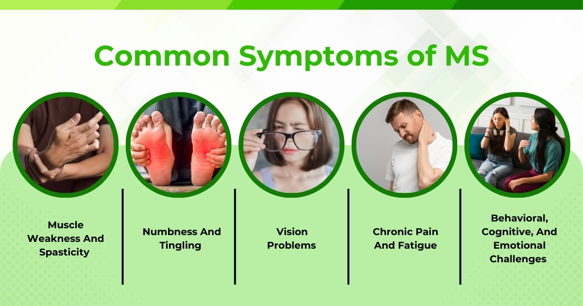 Understanding Multiple Sclerosis (MS)